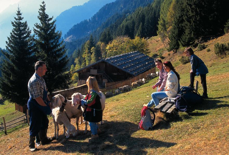 Residence Vellauerhof Algund Buitenkant foto